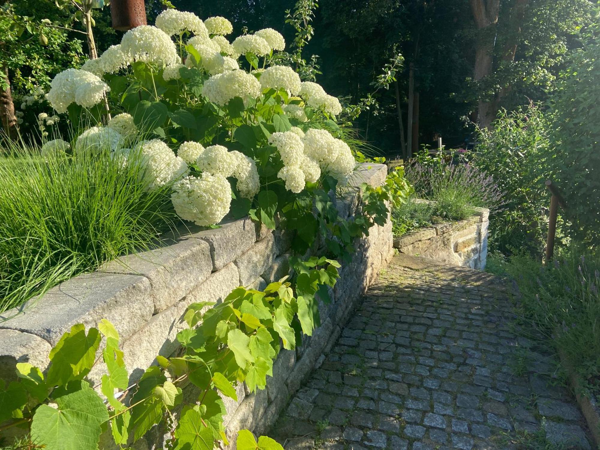 Romantik Idyll Am Tiefental Konigsbruck 外观 照片