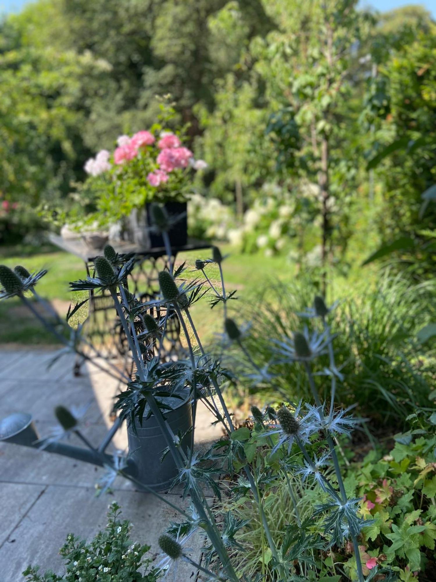 Romantik Idyll Am Tiefental Konigsbruck 外观 照片